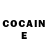 COCAIN Fish Scale Vladimir Dushenkov