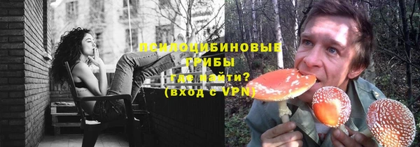 индика Белокуриха