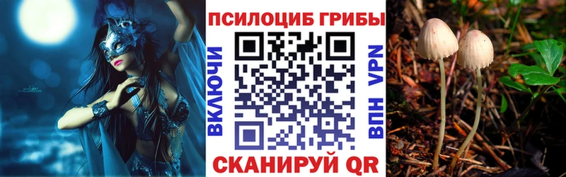 Псилоцибиновые грибы Psilocybine cubensis  OMG ссылка  Борзя 